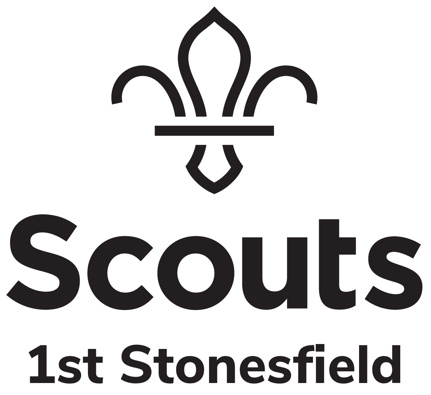 Stonesfield Scouts